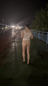 母畜透明装国道露出散步