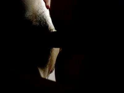 下方视频。惠州女女可以出来交流